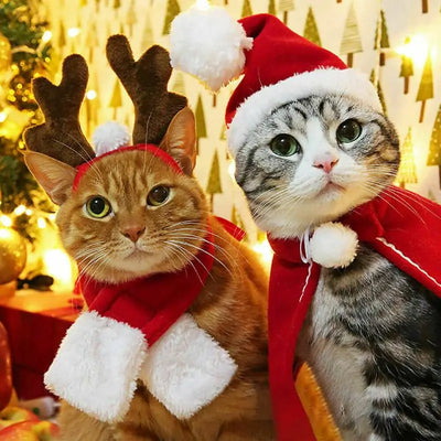 Cat Christmas Clothes