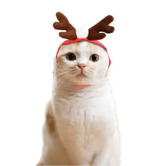 Cat Christmas Clothes