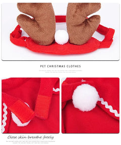 Cat Christmas Clothes